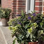 Friesenhuette Appartamento Norddeich (Norden)