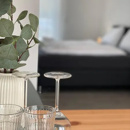 Apartmán Friesenhuette