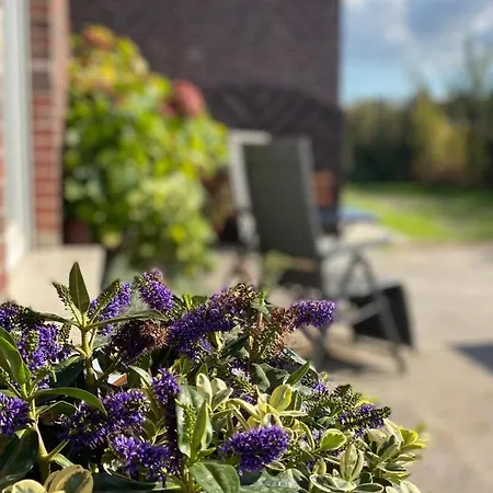 Friesenhuette Norddeich (Norden)