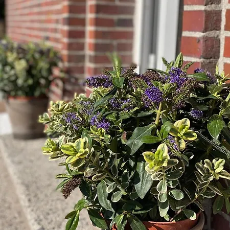 Friesenhuette 아파트 노르다히